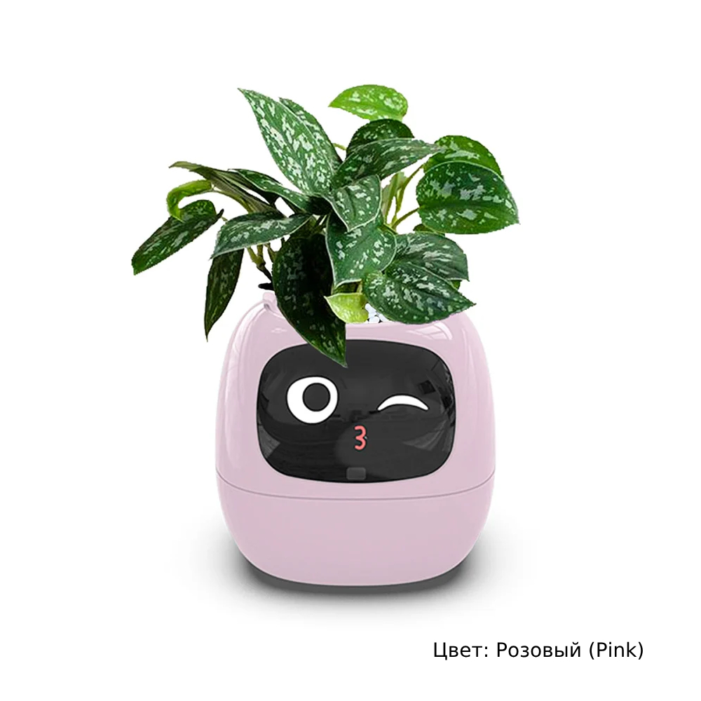 Умный горшок для комнатных растений. Masdio Ivy купить в Москве по ...